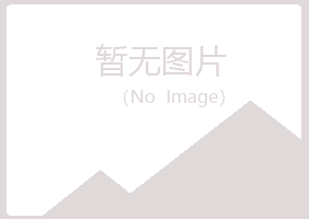 兴山县现实咨询有限公司